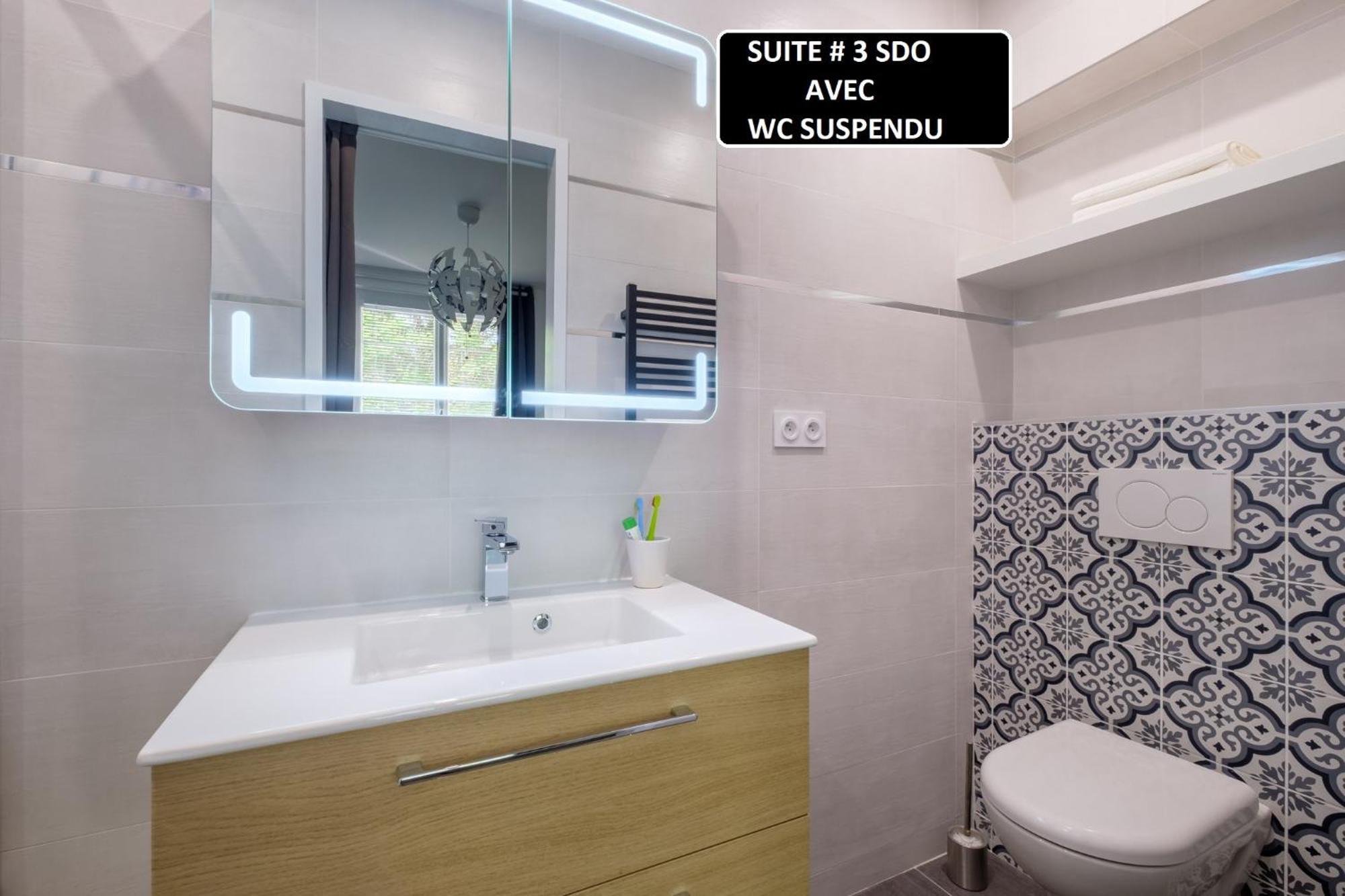 Appart 3 Suites-Chaque Suite Avec Sdo Wc Privatifs - Cuisine Commune Тассин-Ла-Деми-Луне Экстерьер фото